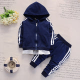 2020 Spring Autumn Toddler Baby Hoodies Pants 2Pcs/set  Casual Clothing Tracksuits