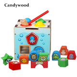 Candywood New Kids Toys Montessori Educational Wooden Toys For Children